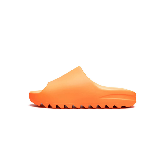 Y | SLIDES